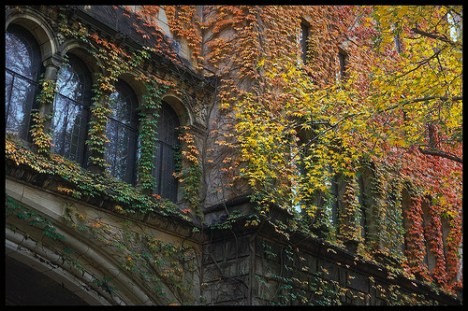 7008550523_02bd40bce4